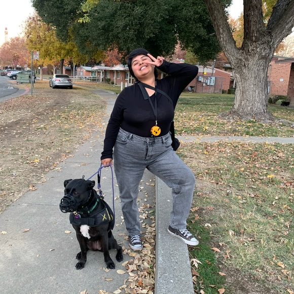 Meet your Posher, Juana - Picture 4 of 16